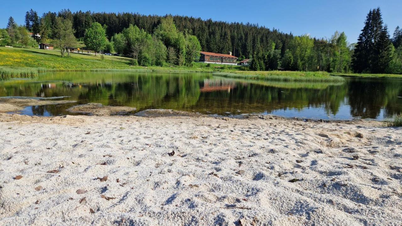 Two Apartaments Almberg - Mitterdorf-Міттерфірміанстройт Екстер'єр фото