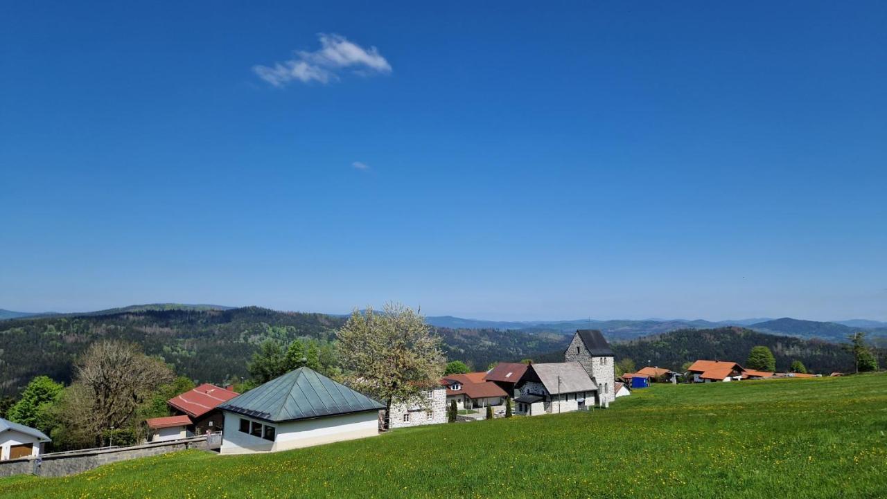 Two Apartaments Almberg - Mitterdorf-Міттерфірміанстройт Екстер'єр фото